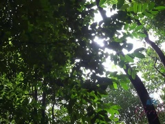 Leie, Braunhaarige, Aufs gesicht abspritzen, Freundin, Orgasmus, Im freien, Pov, Öffentlich