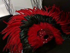 Grote mammen, Moeder die ik wil neuken, Zuigen