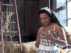 Barn, donna-ambrose, wild