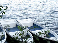 Жопа, Блондинки, Немки, Хд, Милф, На природе, Писсинг, Душ