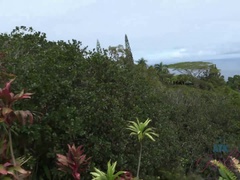 Amateur, Petite amie, De plein air, Culottes ou slips, Petite femme, Pov, Chatte, Rasée