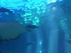 ブロンド, ドレス, 彼女, 毛深い, オーガズム, アウトドア, オッパイの, のぞき