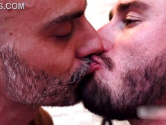 Gay, Hd