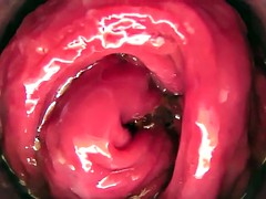 Любители, Большие дырки, Игрушки