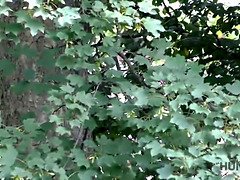 Young Shanie Ryan lovers decided that sex for money