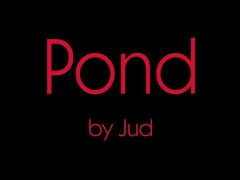 Beautiful Pond