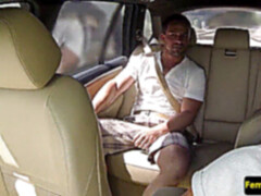 Enthousiasteling, Auto, Europees, Openbaar