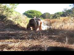Strand, Flashen, Hd, Öffentlich, Spanner