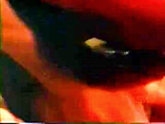 毛深い, ヴィンテージ