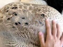 Любители, Анальный секс, Жопа, Красотки, Толстушки, Большая жопа, Минет, Киски