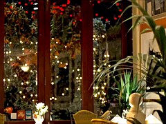 イギリス人, セレブ, オッパイの