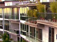 Groep, Harig, Swinger