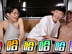 Aziatisch, Lieveling, Homo