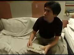 Amateur, Peludo, Japonés