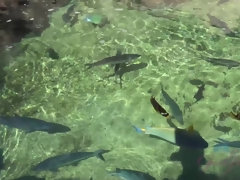 ビーチ, 指いじり, オーガズム, アウトドア, 公共, オマンコ, ガリガリ, 濡れ