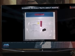 ブロンド, 茶髪の, 自然山雀