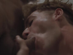 Homo