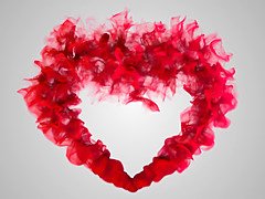 Verga grande, Tetas grandes, Mamada, Gordita, Madura, Maduro, Orgasmo, Gritar