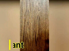 デカ尻, デカチン, デカパイ, コンピレーション, 口内発射, イく瞬間, アウトドア, スパイ