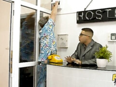 Bruinharig, Hondjeshouding, Dubbele penetratie, Logement, Man man vrouw, Geschoren, Tiener, Tieten likken