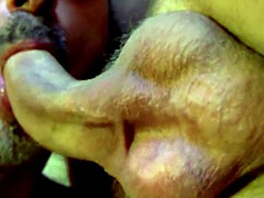 Любители, Группа