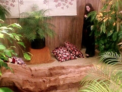 Chica, Loco, Grupo, Hd, Desnudo, Pequeña, Sexo fuerte, Clasico