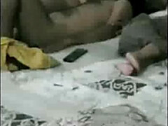 Bruinharig, Hd, Indisch