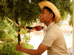 Grosser arsch, Blondine, Interrassisch