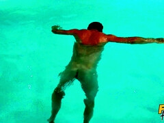 Schwarz, Blasen, Schwanz, Europäisch, Küssen, Lecken, Natürlichen titten, Muschi