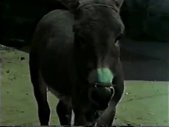 美女, ブロンド, ブラジル, グループ, ハードコア, 熟年, オッパイの, ヴィンテージ