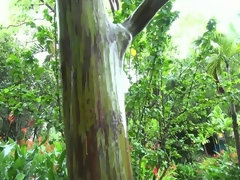 Amateur, Plage, Brunette brune, Petite amie, Pov, Chatte, Chaussettes, Gicler