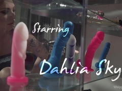 Bondage domination sadisme masochisme, Bondage, Femme dominatrice, Humiliation, Punition, Chatte, Esclave, Fessée