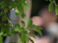 Nana, Grosse bite, Brunette brune, Suçant, Nénés