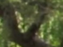 Leie, Blasen, Hundestellung, Handjob, Masturbation, Im freien, Pov, Weibliche ejakulation