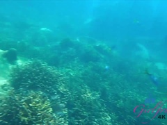 Elena sucks you off and plays outside before you go snorkel.