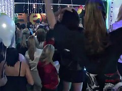 a fun party with kinky ladies and strippers