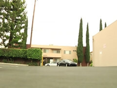 Culo, Tetas grandes, Mamada, Corridas, Sexo duro, Hd, Madres para coger, Estrella porno