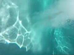 Tussi, Grosse titten, Blondine, Spassig, Masturbation, Pool, Pornostars