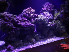 Блондинки, Платье, Подружка, Волосатые, От первого лица, Киски, Сиськи, Подглядывание