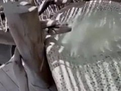 Amateur, Negro, Morena, Corrida, Ébano, Latina, Público, Montar