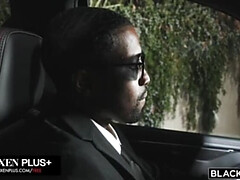 Большие сиськи, Блондинки, Минет, Сумасшедшие, Член, Собачьи, Группа, Межрасовый секс