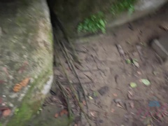 Leie, Blasen, Braunhaarige, Freundin, Im freien, Pov, Öffentlich, Muschi