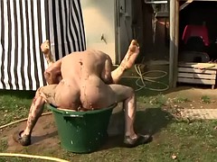 Anal, Hard, Mère que j'aimerais baiser, De plein air