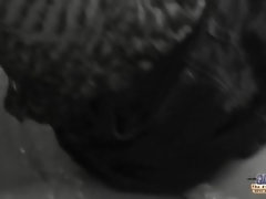 Bruinharig, Vingeren, Tiener