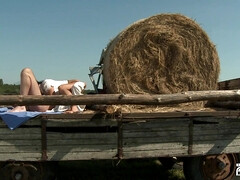 Anal, Sucer une bite, Brunette brune, Dingue, Tir de sperme, Pov, Chatte, Gicler