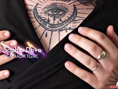 Hd, シーメール