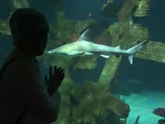 Amateur, Rubia, Bragas, Coño, Afeitado, Cabello corto, Calcetines, Tetas