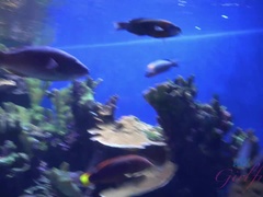 素人, デカ尻, 黒人, ヌード, 公共, ふっくら乳首, ガリガリ, オッパイの