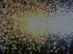 TRUE assfuck Anna and Jane caboose fucked by a big lollipop