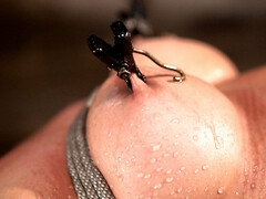 デカパイ, ボンデージ, ハードコア, 淫乱熟女, 乳首